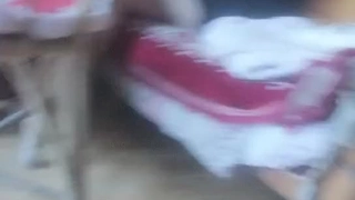二零二三六月二十三号发财猫